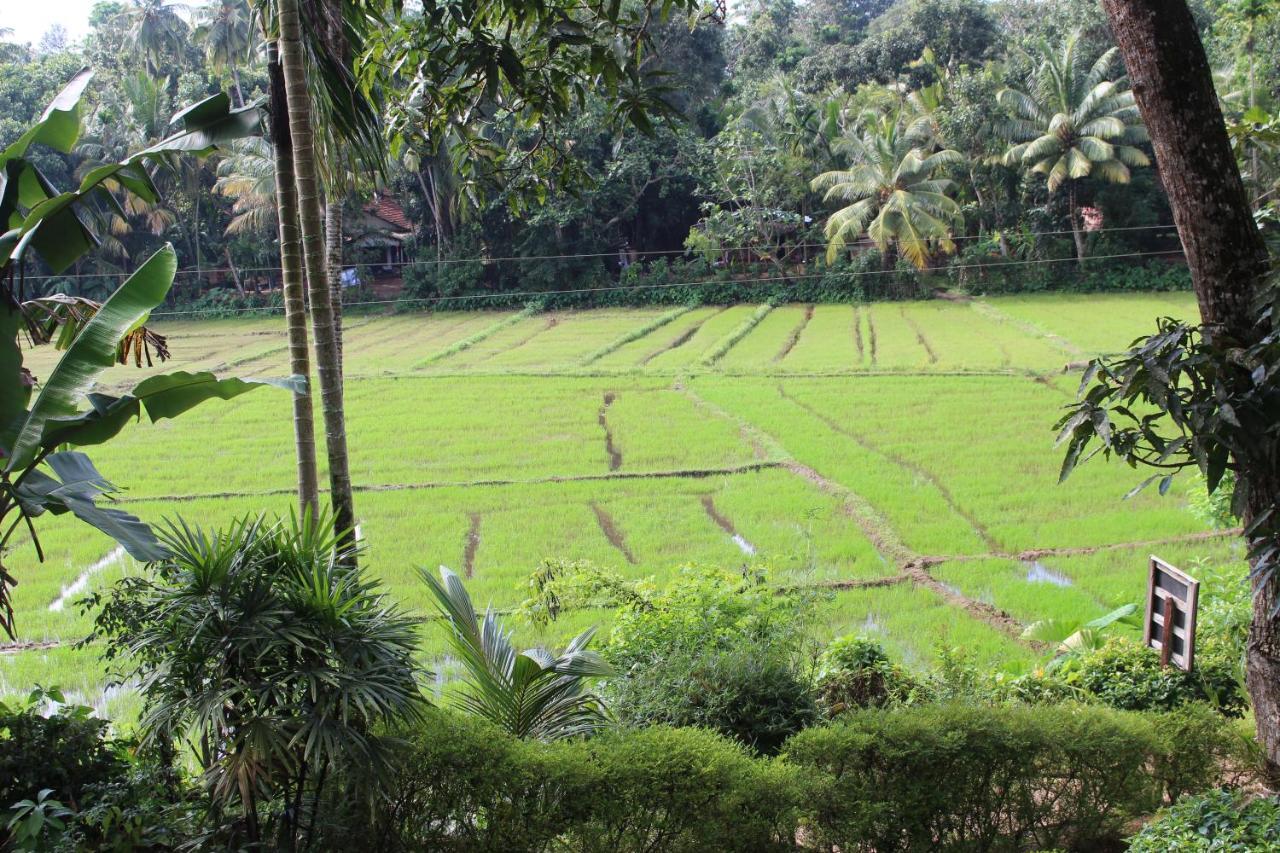Paddy Field Villa มิดิกามาอีสต์ ภายนอก รูปภาพ